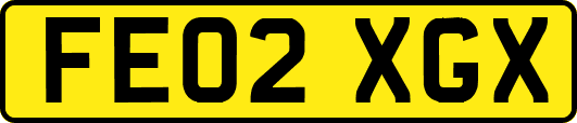 FE02XGX