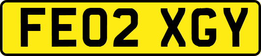 FE02XGY