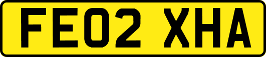 FE02XHA