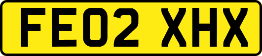 FE02XHX
