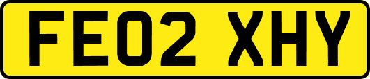 FE02XHY