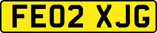 FE02XJG