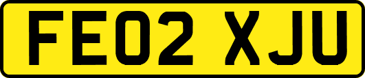 FE02XJU