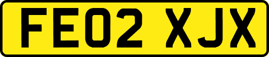 FE02XJX