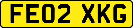 FE02XKG
