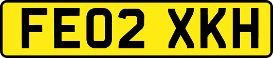 FE02XKH