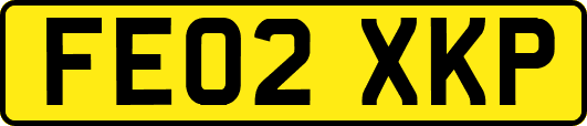 FE02XKP