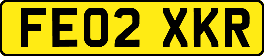 FE02XKR
