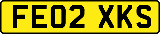 FE02XKS