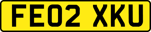 FE02XKU
