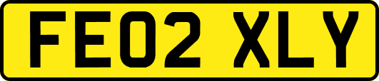 FE02XLY