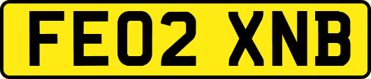 FE02XNB
