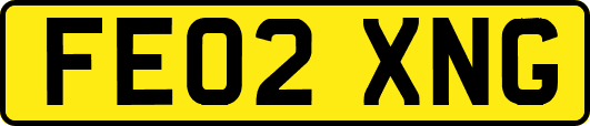 FE02XNG