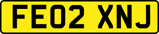 FE02XNJ