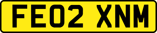 FE02XNM