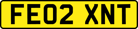 FE02XNT