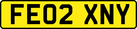 FE02XNY