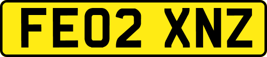 FE02XNZ