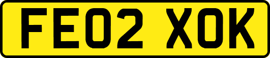FE02XOK