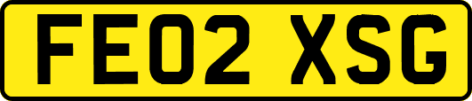 FE02XSG