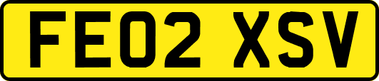FE02XSV