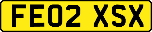 FE02XSX