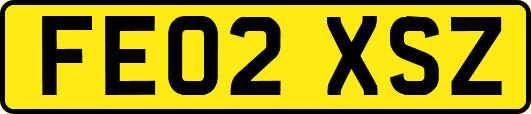 FE02XSZ