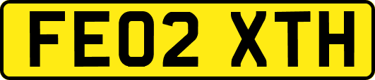 FE02XTH