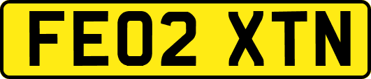 FE02XTN