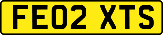 FE02XTS