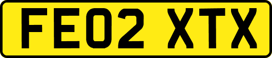 FE02XTX