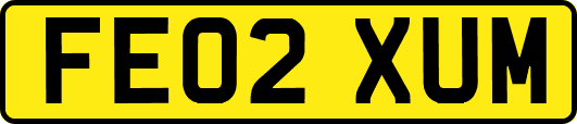 FE02XUM