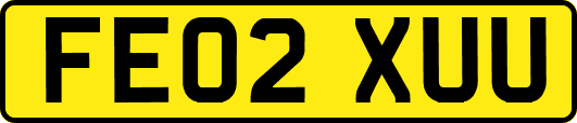 FE02XUU