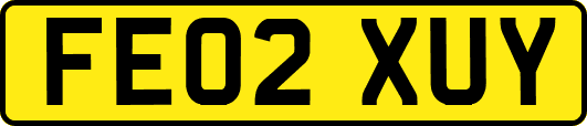 FE02XUY