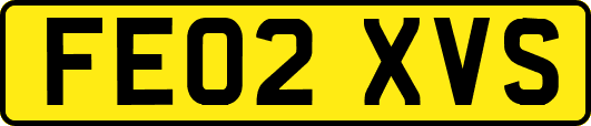FE02XVS
