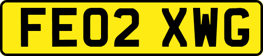 FE02XWG