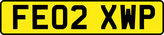 FE02XWP