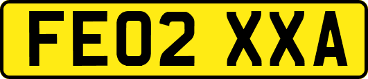 FE02XXA