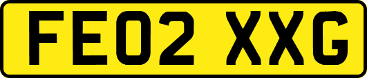 FE02XXG