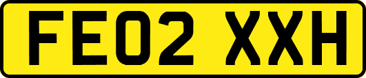FE02XXH