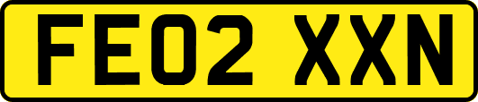 FE02XXN