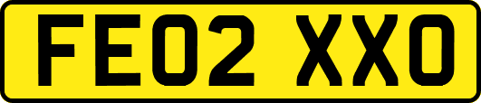 FE02XXO