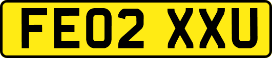 FE02XXU