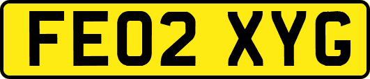 FE02XYG