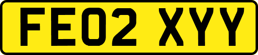 FE02XYY