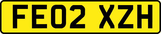 FE02XZH