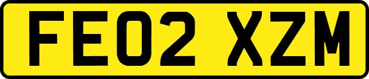 FE02XZM