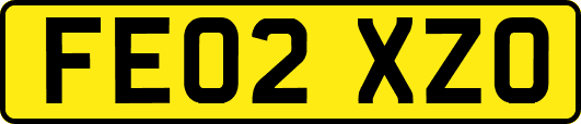 FE02XZO