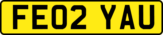 FE02YAU