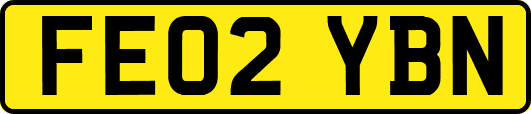 FE02YBN